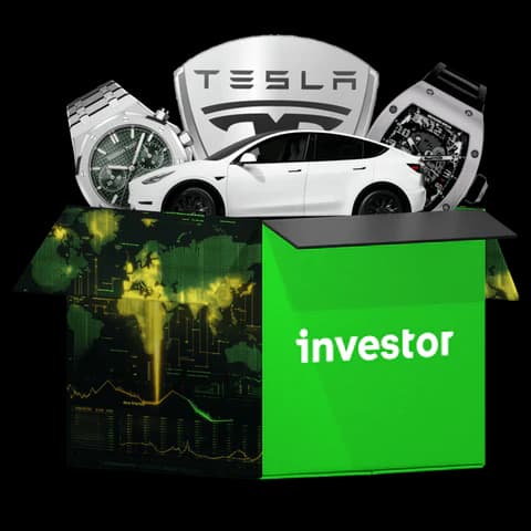 Investor
